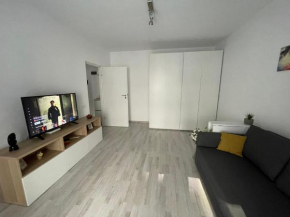 Plaza Luxury Apartment Near Presidential Palace